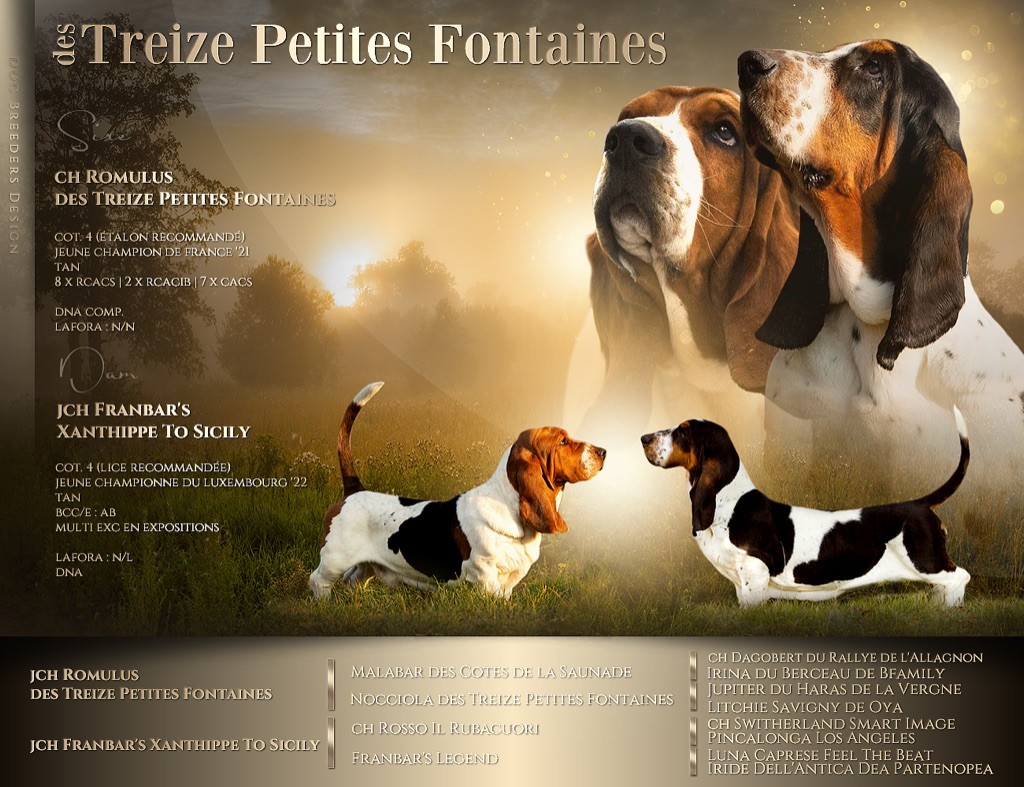 Des Treize Petites Fontaines - Le printemps ...